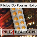 Black Ant Pills levitra1